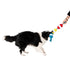 Territory Buoys Floating Tug Dog Toy - Poudre Pet & Feed Supply 4